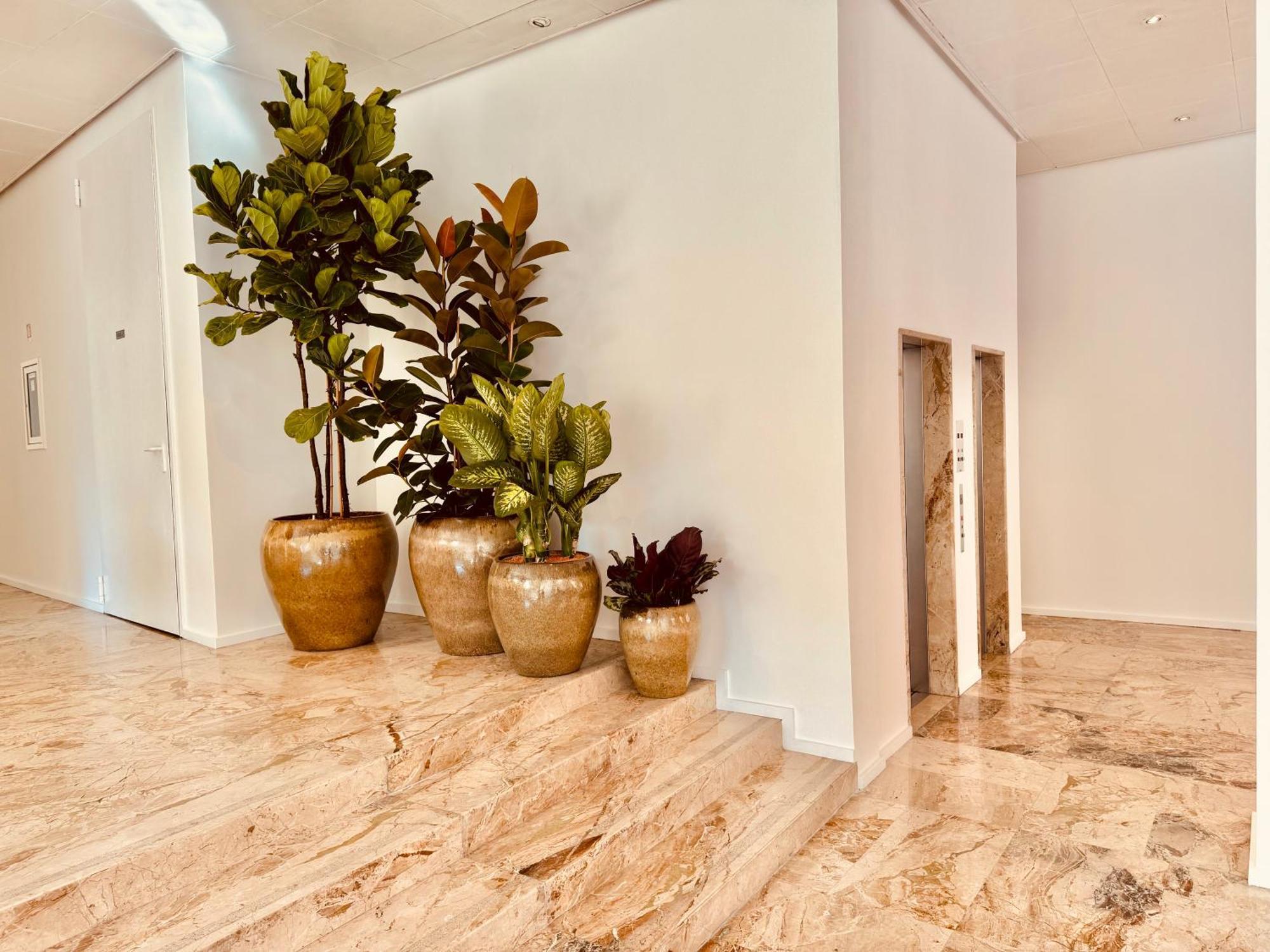 Pex Hotel Mantua